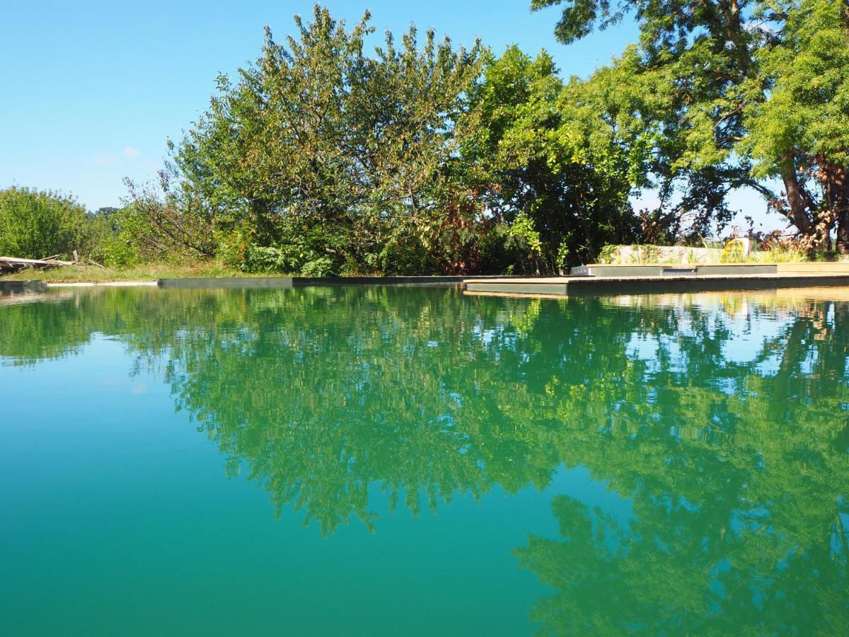 Maison Terre Les Cabanes De Fallot - Sauna Bain-Froid Piscine Naturelle L'isle-Bouzon Bagian luar foto